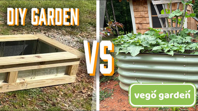 Vego VS DIY Garden Bed