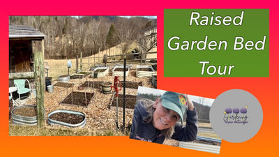 My Raised Garden Bed Setup-Vego Garden Beds, Stratco Beds and More! 🌱🌸🎉
