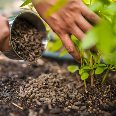 7 Common Myths About Fertilizer