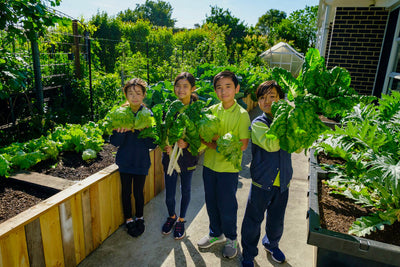 Athol Road Primary School Garden