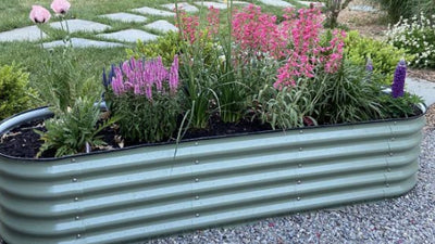 7 Tips For Successful Raised Bed Gardening