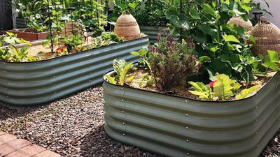 9 Tips for Successful Raised Garden Bed Gardening