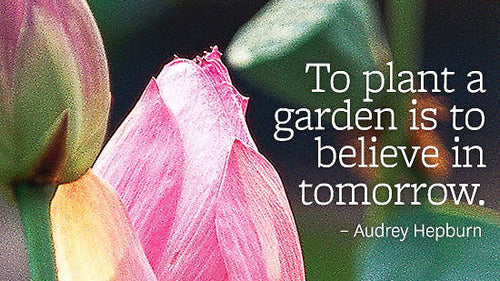 Inspirational Garden Quotes – Vego Garden