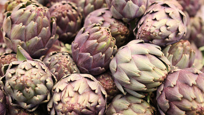 Guide to Growing Artichokes