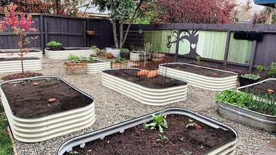 What To Know Before Building A Raised Garden Bed