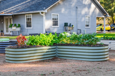 The Future of Gardening: Embracing Sustainability with Modular Metal Raised Beds