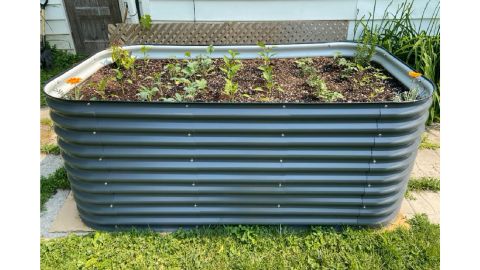 Vego Garden Review by Backyardboss: A Bed Above the Rest