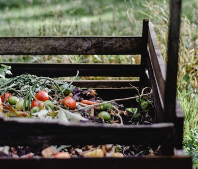7 Biggest Compost Myths