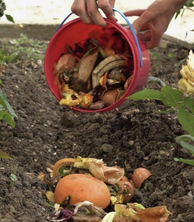 Unleashing the Power of Nutrient-Rich Soil with Smart Composting