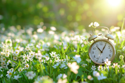 How Daylight Savings Time Impacts Gardening