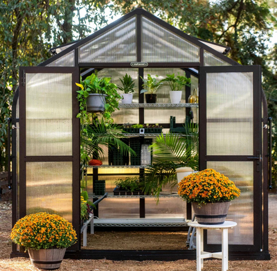 Choosing the Right Greenhouse to Complement Your Garden