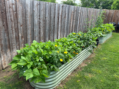 A Case for Raised Bed Gardening