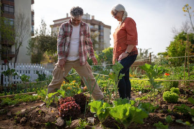 Foodscaping: Greens to Grow in Raised Garden Beds as Food and Landscape Decor