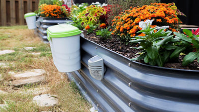 Urban Gardening on the Rise: Vego Garden Caters to Growing Trend with Space-Saving Garden Bed Solutions