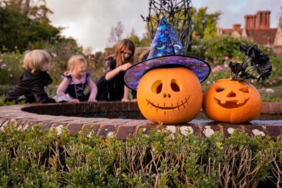 Halloween Gardening Activities for Kids: Fun for the Little Pumpkins