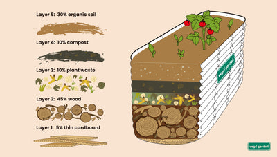 How To Fill Raised Garden Beds With Soil And Save Money