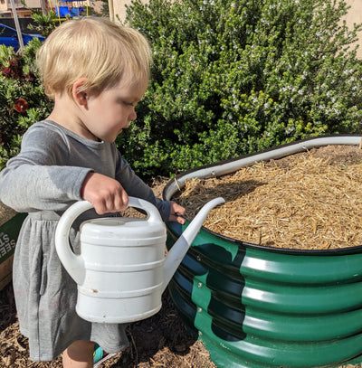 Cultivating Green Thumbs: How to Involve Kids in Gardening