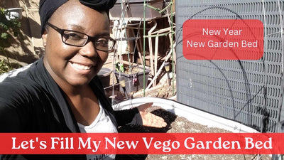 New Year New Garden Bed - Let's Fill My New Vego Garden Bed