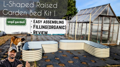 VIDEO: Vego Garden Raised Beds (L Shaped Kit ) Free Organic Way To Fill These Beds