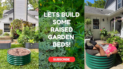 Build Metal Raised Garden Beds With Me! | Vego Raised Garden Beds | Garden Zone 5B