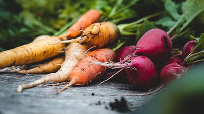 Root Vegetables for Beginners