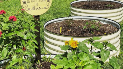 Let's Get Growing: Essential Gardening Tips for First-Time Gardeners