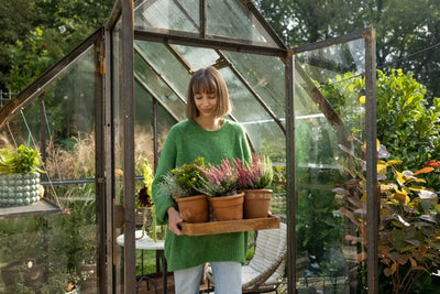 Let's Take it Outside: Take Your Houseplant on a Walk Day