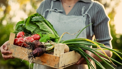 Biodynamic Gardening - A Holistic Approach to Plant Care