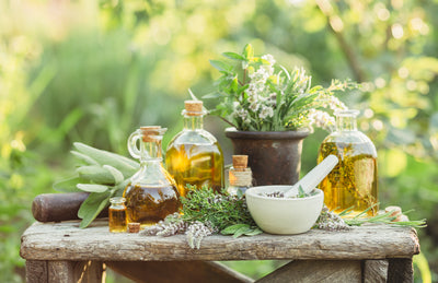 Herbalism : Growing Your Own Medicine
