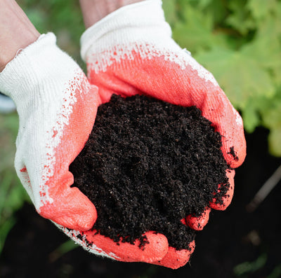 Nourishing Your Garden: A Guide to Soil Amendments