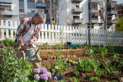 16 Easy Tips for Beginner Urban Gardeners
