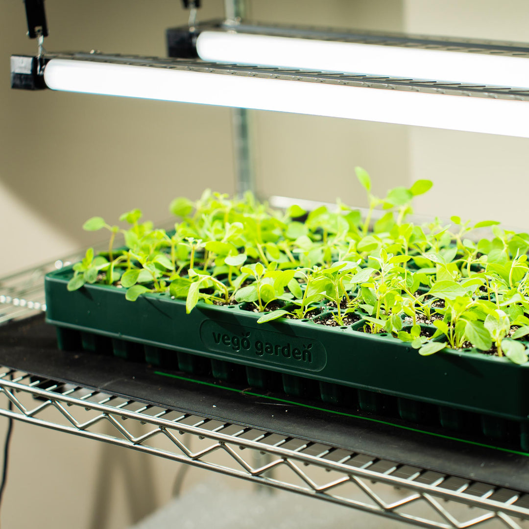 Vego Stackable Seedling Trays: Efficient Gardening Solution – Vego Garden