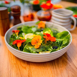 Vego Garden | Salad Bowl