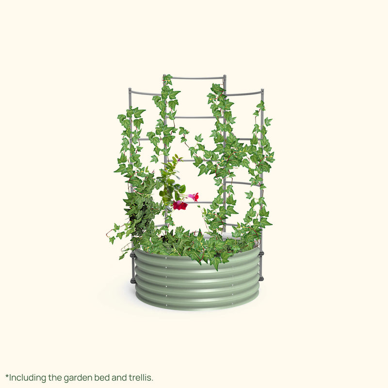 Wall Trellis 3.5&