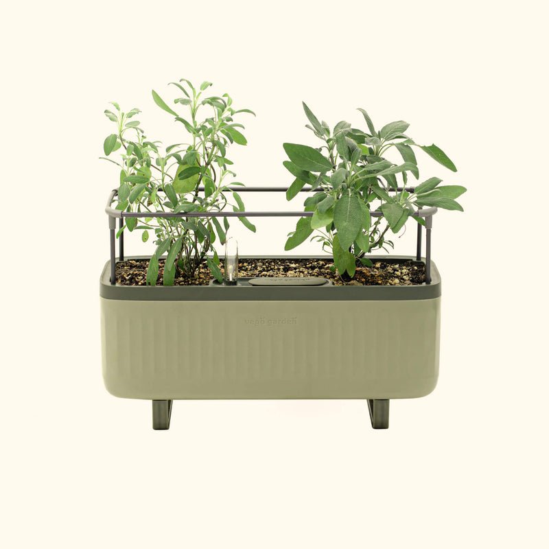 vego-garden-Self-Watering-Herb-Planter-Box-with-Trellis