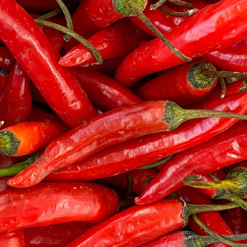 Super Chili Pepper Seedlings | Vego Garden
