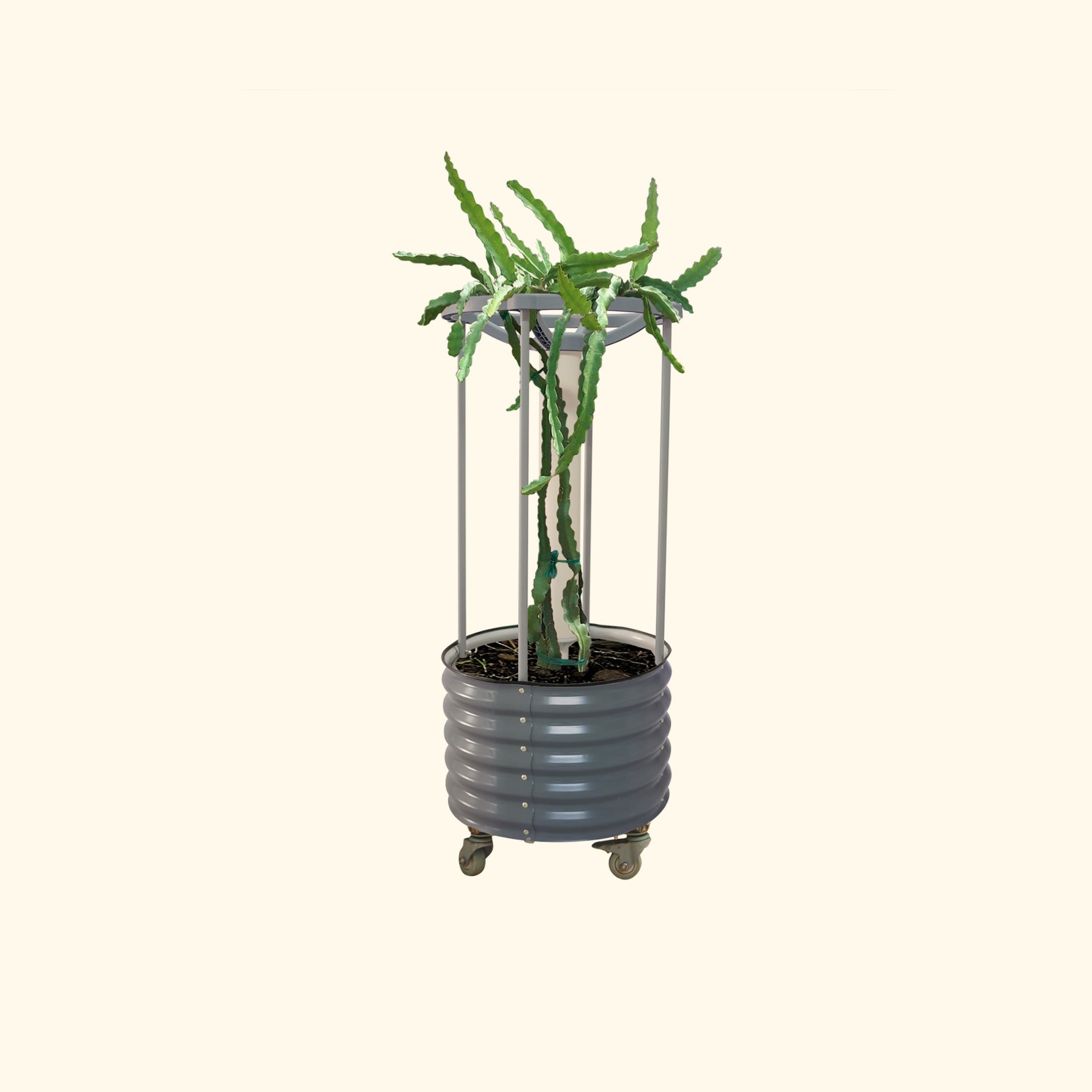 Dragon Fruit Rolling Planter - Modern Gray - VegoGarden