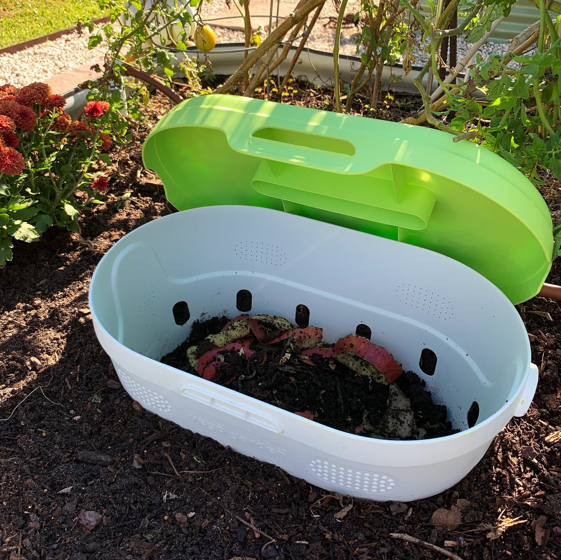 Visual Worm Composter Vego Garden In-ground Worm Bin, Worm Composter, Worm Farm