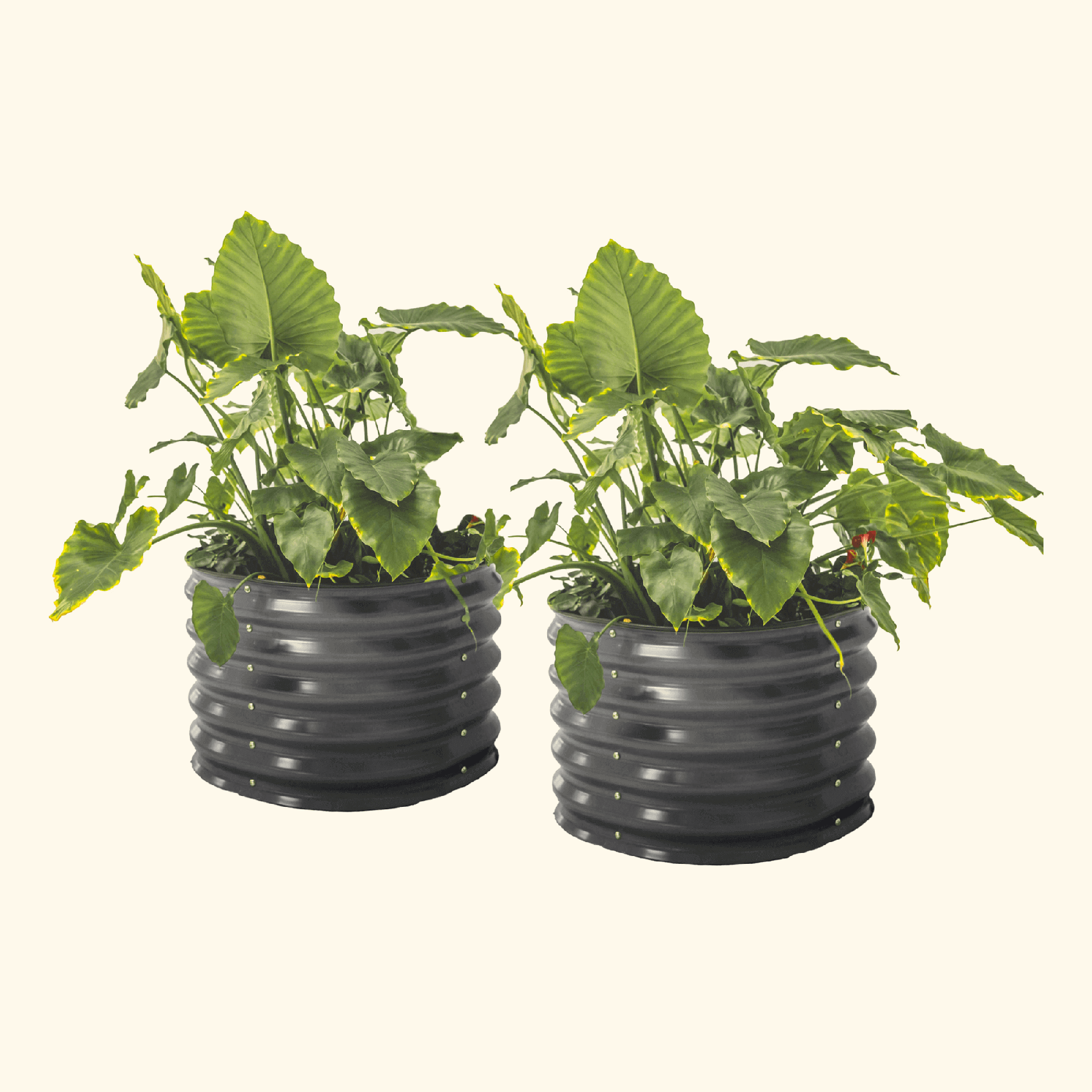 Vego Garden | Self-Watering Planter Twin Pack Modern Gray