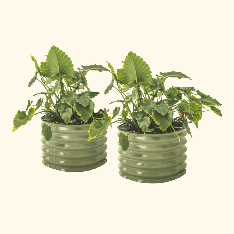 Vego Garden | Self-Watering Planter Twin Pack Olive Green