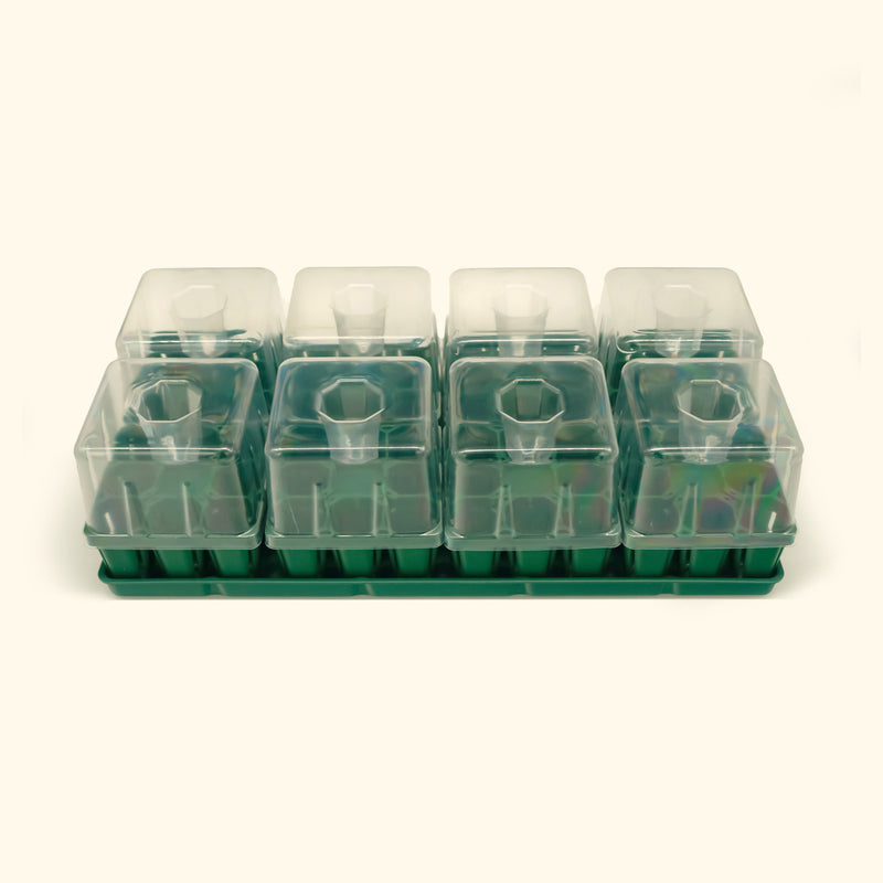Vego Garden | Seedling Trays - 10x20-8 Standard Kit