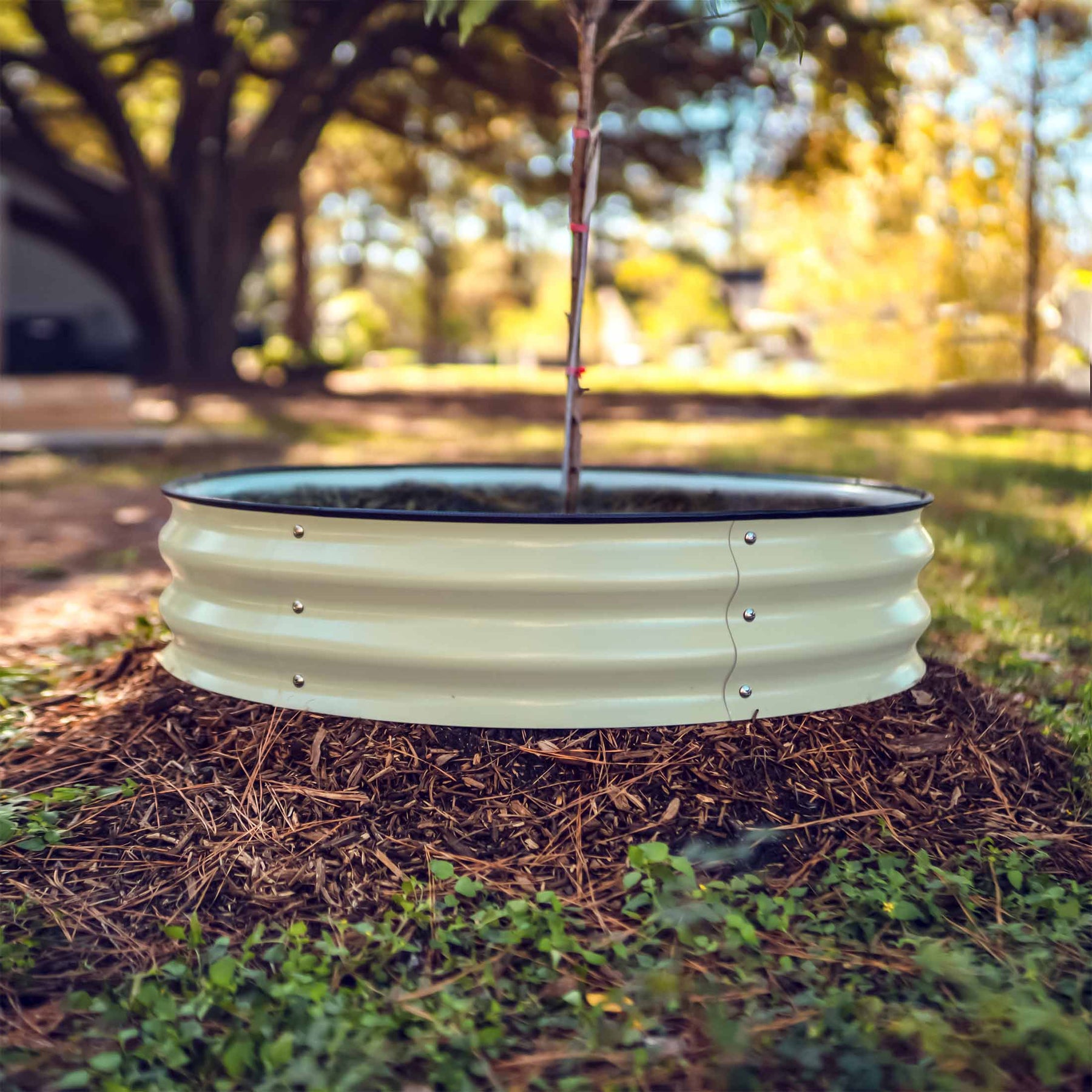 Tree Surround & Watering Ring Kit – Vego Garden